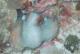 MD_X_015_Ga.jpg